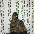 Brown cheetah hijab